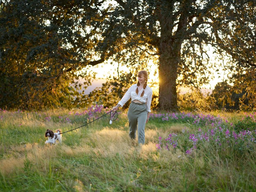 A woman enjoys a sunny walk with her dog in a scenic meadow filled with wildflowers.