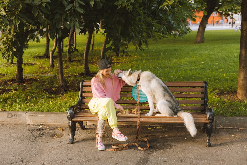 A woman and her husky dog relax on a park bench, enjoying a peaceful day outdoors.